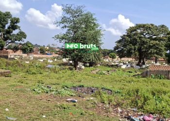 Labé : À Bowounloko, des tombes menacées par des chiens errants, la délégation spéciale accusée d’inaction