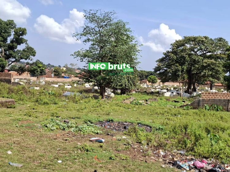 Labé : À Bowounloko, des tombes menacées par des chiens errants, la délégation spéciale accusée d’inaction