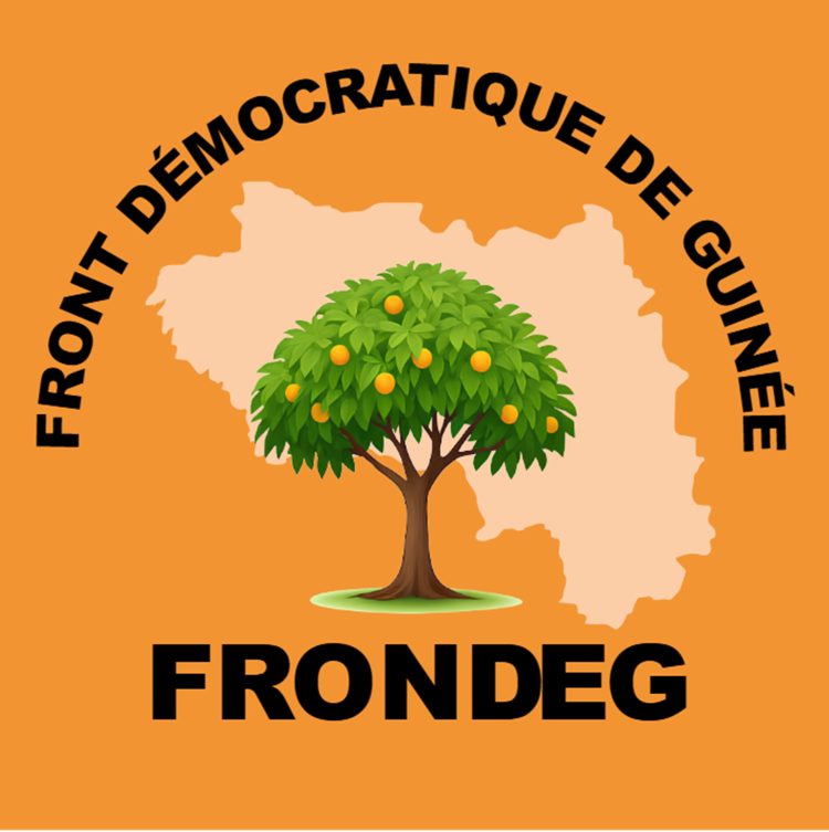 Conakry : le FRONDEG dénonce de graves irrégularités et exige la vérité des urnes