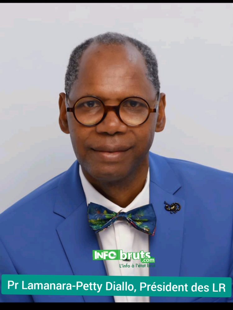 Présidentielle 2025 : Les Réformateurs appellent à un soutien sans équivoque à Mamadi Doumbouya