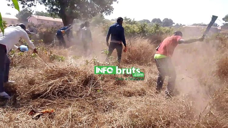 Kankan : les jeunes de Gbountouroun se mobilisent pour assainir leur cimetière