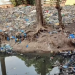 Dabola : à Hafia, une rivière transformée en dépotoir, alerte sur une urgence écologique et sanitaire