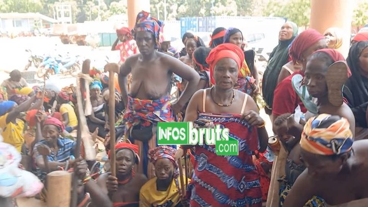 Kankan : des femmes de Töron-Banankö manifestent contre la transhumance et la présence massive de zébus