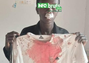 À Labé, la mangue ne tombe pas toujours du ciel… et encore moins sans autorisation