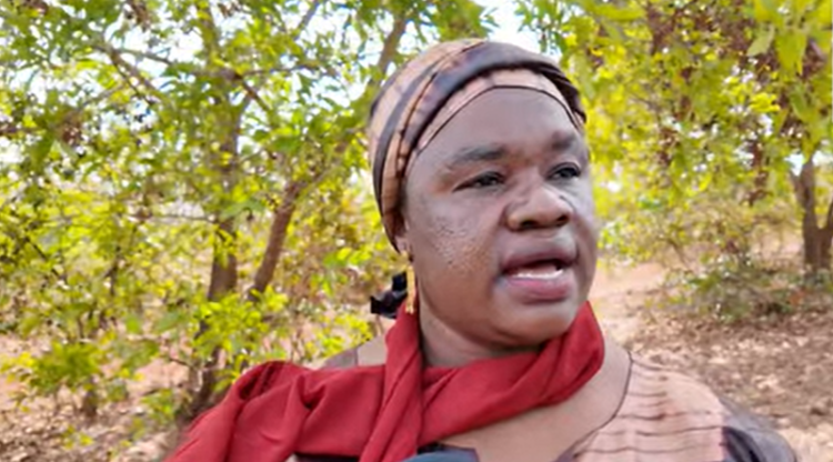 Labé : un site identifié pour la réinstallation de l’orphelinat de Hooré Saala