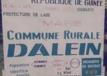 Dalein : une liste électorale qui soulève plus de questions que de réponses
