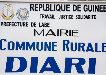 Diari : un candidat remplacé avant dépôt, mais présent sur la liste de la DGE